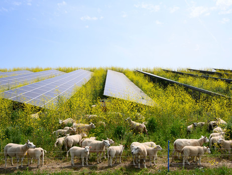 Como as fazendas agrícolas se beneficiam da energia solar?